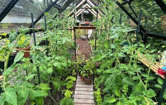 Boerhoorn 6, GLIMMEN