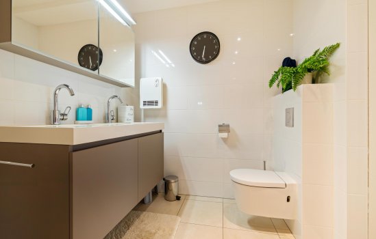 Felix Timmermanslaan 3, GRONINGEN