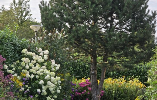 Laan der Kruisheren 137, HARKSTEDE