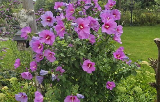 Laan der Kruisheren 137, HARKSTEDE