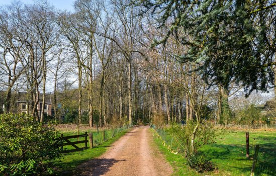 Oosterbroek 3, EELDE