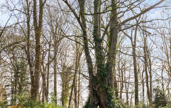 Oosterbroek 3, EELDE