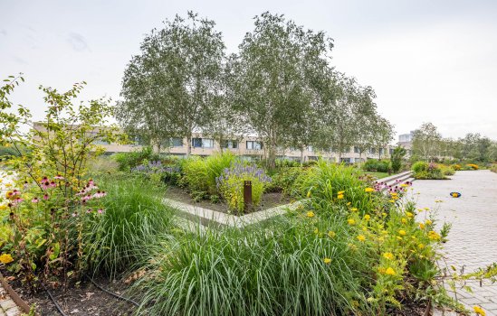 Verlengde Lodewijkstraat 122, GRONINGEN