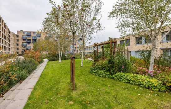 Verlengde Lodewijkstraat 122, GRONINGEN