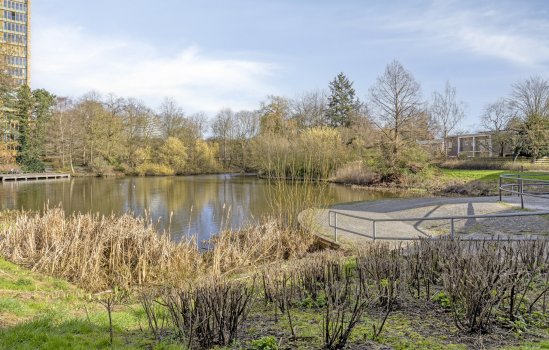 Berkelstraat 77, GRONINGEN