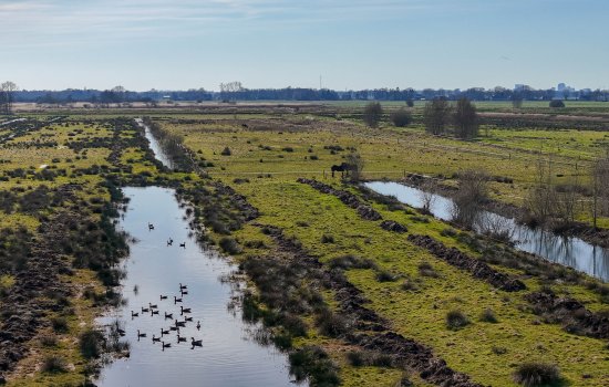 Slochterdiep 4, Scharmer