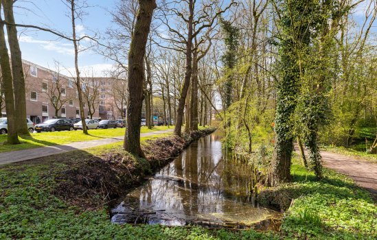 Helper Brink 61-184, GRONINGEN