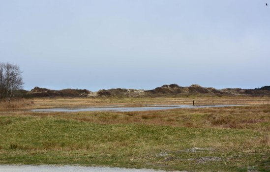 Badweg 91-R26, SCHIERMONNIKOOG