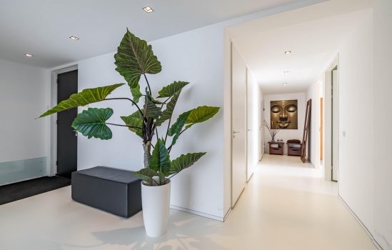 Regattaweg 418, GRONINGEN