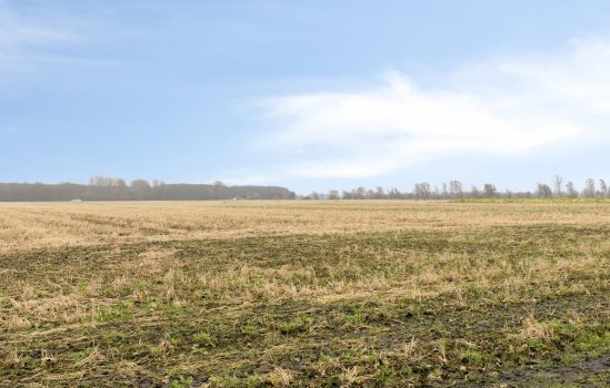 Borgercompagnie 25, Sappemeer