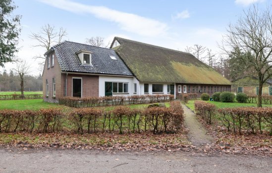 Rolderstraat 11, BORGER