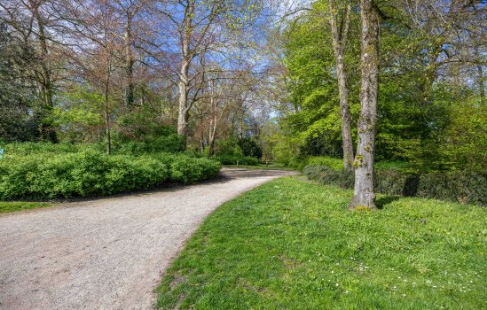 Riouwstraat 11-a, Groningen