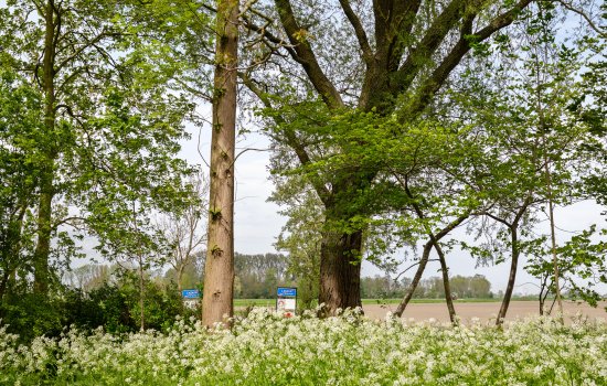 Borgweg 23, Lellens