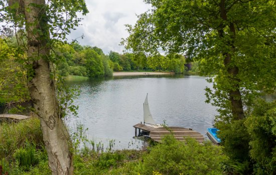 Zandlust 4, TYNAARLO