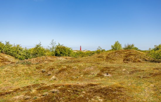 Klein Zwitserland 7, SCHIERMONNIKOOG