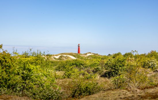 Klein Zwitserland 7, SCHIERMONNIKOOG