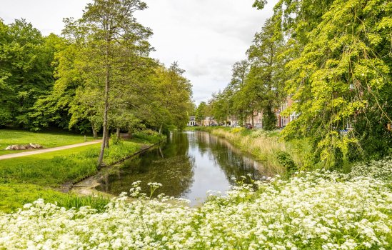 Tuinbouwdwarsstraat 11-c, GRONINGEN