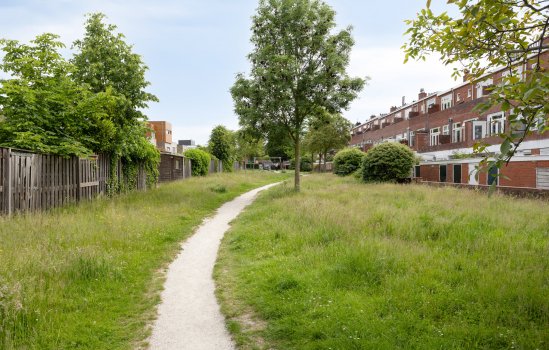 Van Royenlaan 41, GRONINGEN