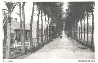 Nevelslaan 16, Westerbroek