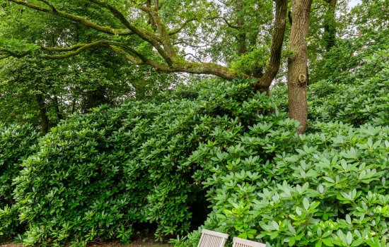 Ettenlaan 15, ROLDE