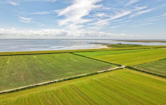 Rijspolder 29, SCHIERMONNIKOOG