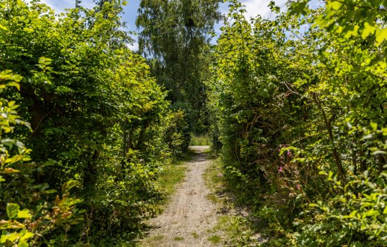 Rijspolder 29, SCHIERMONNIKOOG