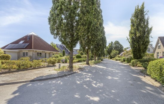 Purperreiger 5, Wildervank
