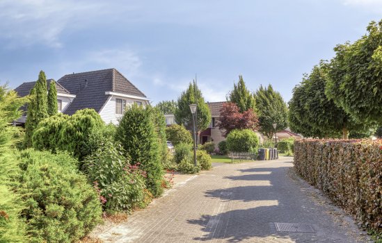 Purperreiger 5, Wildervank