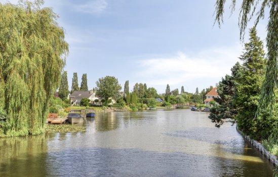 Purperreiger 5, Wildervank