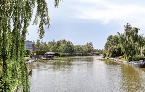 Purperreiger 5, Wildervank