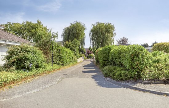 Purperreiger 5, Wildervank
