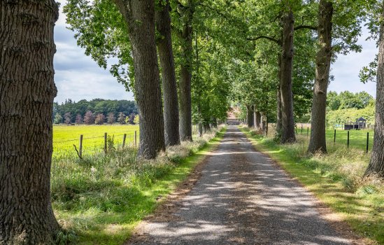 Bergveenweg 1, VEENHUIZEN