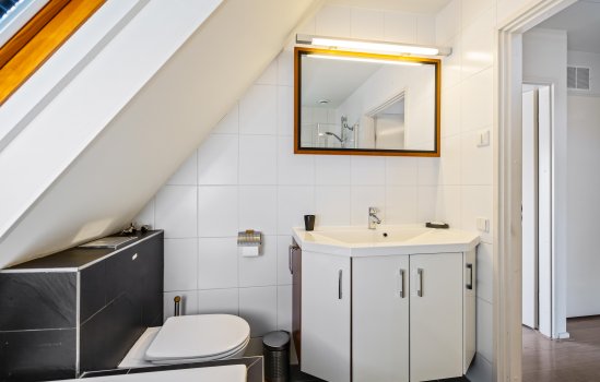 Tolhuiswierde 6, Ten Boer