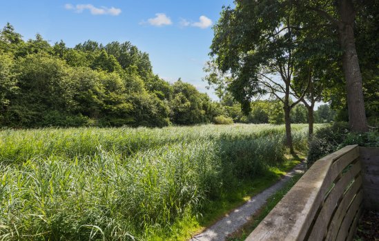 Fultsemaheerd 31-c, Groningen