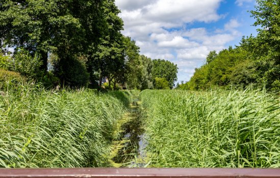 Fultsemaheerd 31-c, Groningen