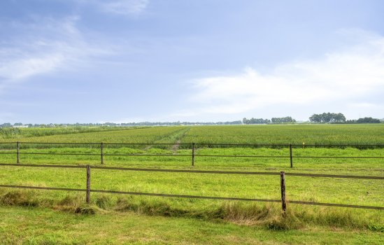 Ommelanderwijk 299, Veendam