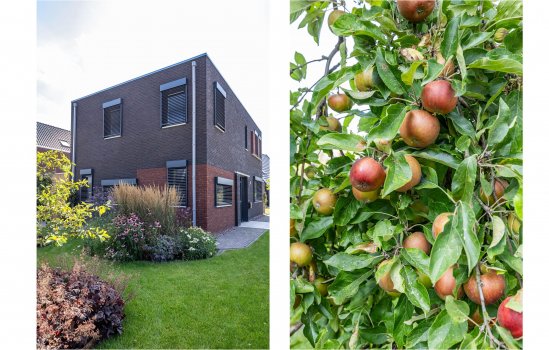 Kardinaalsmuts 8, LEEK