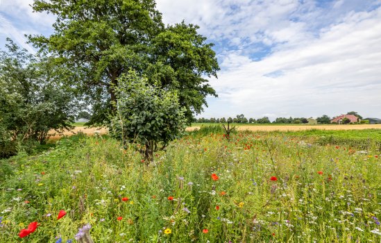 Groenedijk 2, Froombosch