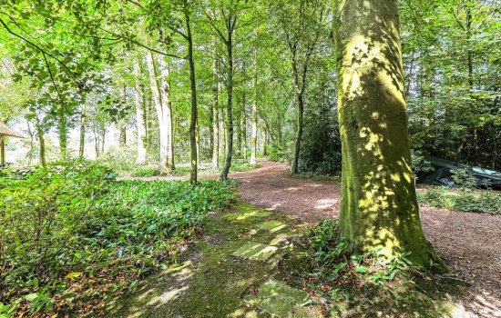 Lutsborgsweg 71, HAREN GN