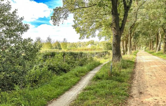 Lutsborgsweg 71, HAREN GN