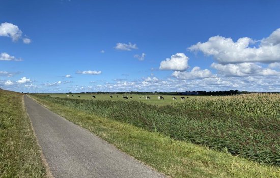 Badweg 67-34, SCHIERMONNIKOOG