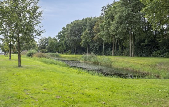 Beukenlaan 10, Nieuwe Pekela