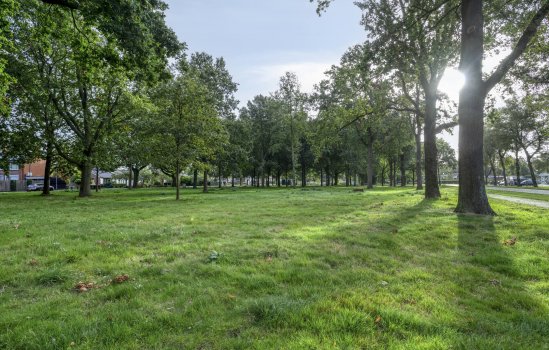 Minervastraat 77, Veendam