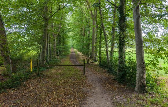 Hoofdweg 320, PATERSWOLDE