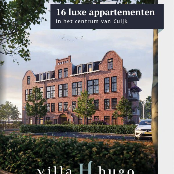 brochure brochure