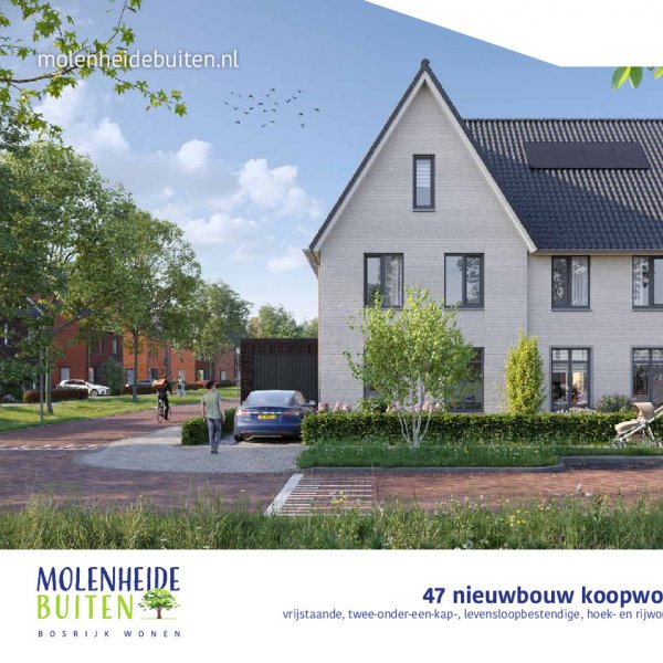brochure brochure