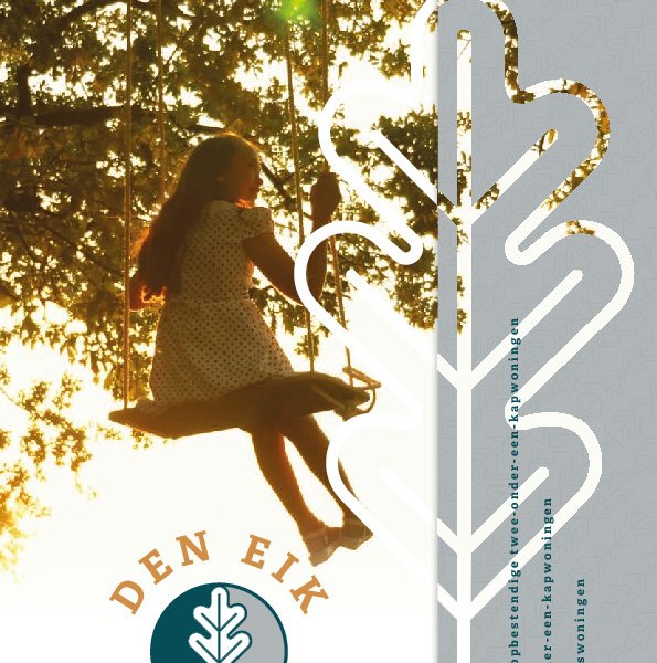 brochure brochure