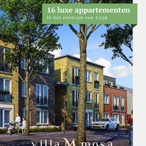 brochure brochure