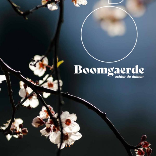 Brochure Brochure
