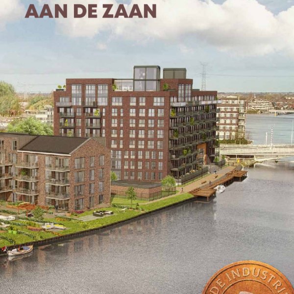 brochure brochure